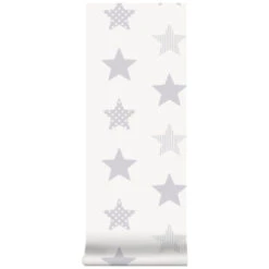 Superfresco Easy Vliesbehang Superster Zilver 100111 9 Superfresco Easy Vliesbehang Superster Zilver 100111 -Behang Verkoop 123 1013