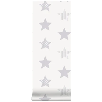 Superfresco Easy Vliesbehang Superster Zilver 100111 4 Superfresco Easy Vliesbehang Superster Zilver 100111 - Afbeelding 4