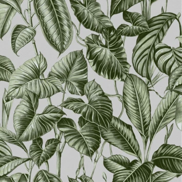 Superfresco Easy Vliesbehang Noani Groen 111767 1 Superfresco Easy Vliesbehang Noani Groen 111767