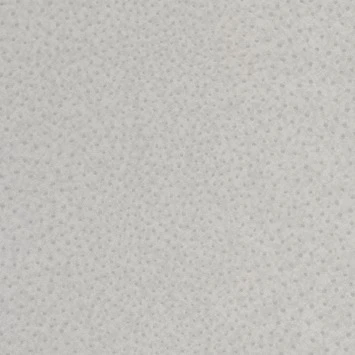 Boutique Vliesbehang Struisvogel Grijs 32-638 1 Boutique Vliesbehang Struisvogel Grijs 32-638