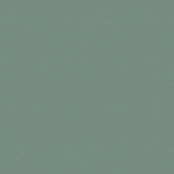 Superfresco Easy Vliesbehang Uni Groen 100559 1 Superfresco Easy Vliesbehang Uni Groen 100559