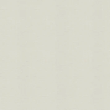 Superfresco Easy Vliesbehang Extra Breed Lenora Lichtgroen (105103) 1 Superfresco Easy Vliesbehang Extra Breed Lenora Lichtgroen (105103)