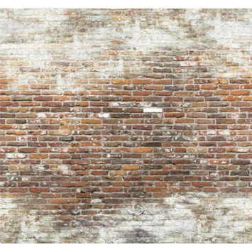 Fotobehang Brick Wall 2 (105416) 1 Fotobehang Brick Wall 2 (105416)