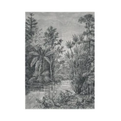 Fotobehang Jungle Zwart - Wit (105411)