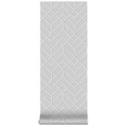 Superfresco Easy Vliesbehang Losanges Filaires Zilver (106155) 9 Superfresco Easy Vliesbehang Losanges Filaires Zilver (106155) -Behang Verkoop 123 630